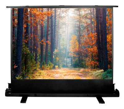 Экран для проектора Cactus 135x180см FloorExpert CS-PSFLE-180X135 4:3 напольный рулонный