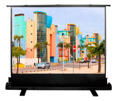 Экран для проектора Cactus 120x160см FloorExpert CS-PSFLE-160X120 4:3 напольный рулонный