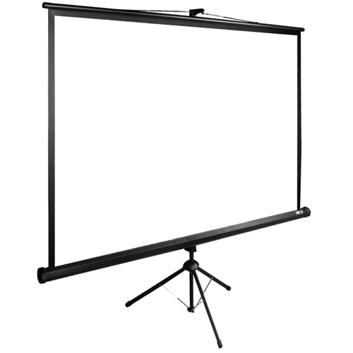 Экран для проектора CACTUS TriExpert CS-PSTE-180x135-BK, 180х135 см, 4:3, напольный