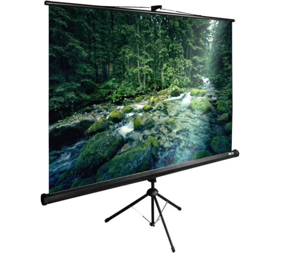 Экран для проектора Cactus 165x220см TriExpert CS-PSTE-220x165-BK 4:3 напольный рулонный черный