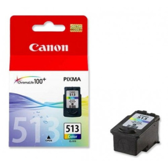 Картридж струйный Canon CL-513 для PIXMA MP240/260/480, экономичный, многоцветный
