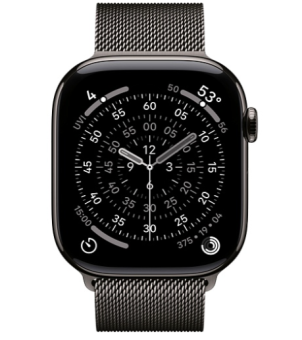 Смарт-часы Apple Watch Series 11 46mm Titanium Milanese Loop Slate