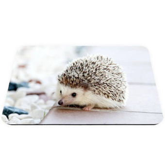 Коврик для мыши Ёжик на белом фоне (230 x 190 x 3 мм)