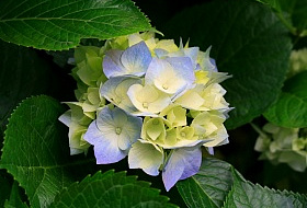 Тестовая статья2 Тестовая статья2