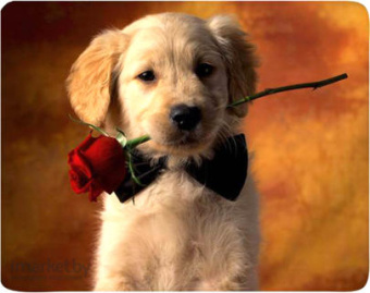 Коврик для мыши BURO [BU-M40089] Щенок с розой, 230x180x2мм, губчатая резина, нескользящая основа