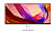 Монитор 29" LG UltraWide 29U531A-W (IPS 2560x1080 100Hz HDMI DP USB-C) белый