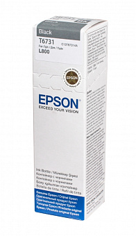 Картридж струйный EPSON T6731 для Epson L800/L805/L810/L850/L1800, чёрный