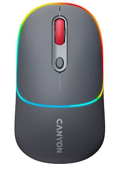 Мышь беспроводная Canyon MW-22 серый