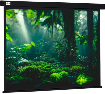 Экран для проектора Cactus 213x213см Wallscreen CS-PSW-213X213-BK 1:1 настенно-потолочный рулонный черный