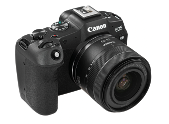 Цифровая фотокамера Canon EOS R8 Kit RF 24-50mm f/4.5-6.3 IS STM