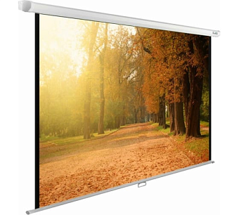 Экран для проектора Cactus 125x200см WallExpert CS-PSWE-200x125-WT 16:10 настенно-потолочный рулонный