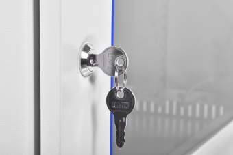 Шкаф коммутационный ЦМО (ШРН-Э-6.350) 6U 600x350мм пер.дв.стекл несъемн.бок.пан.