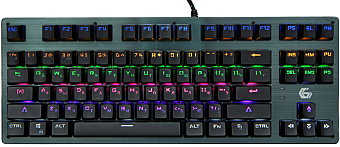 Клавиатура проводная Gembird KB-G540L Rainbow Led черный