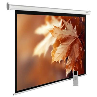 Экран для проектора Cactus 225x300см MotoExpert CS-PSME-300x225-WT 4:3 настенно-потолочный рулонный белый (моторизованны