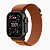 Смарт-часы Apple Watch Ultra 3 49mm Black Alpine Loop Terra Cotta (черный/коричневый)