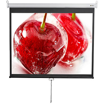 Экран для проектора Digis Optimal-D 180x240 (настенно-потолочный, рулонный, формат 1:1) [DSOD-4304]