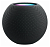 Умная колонка Apple HomePod mini Space Gray