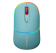 Мышь беспроводная Canyon MW-22 бирюзовый