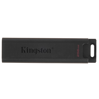 Флешка 256Gb Kingston DataTraveler Type-C Max