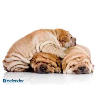 Коврик для мыши Defender Silk 230х190х1.6 мм