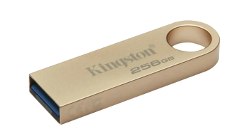 Флешка 256Gb Kingston DataTraveler SE9 USB3.0
